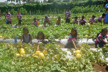 Field Trip