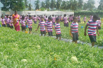Field Trip
