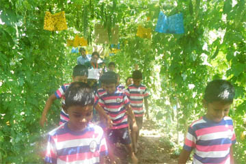Field Trip