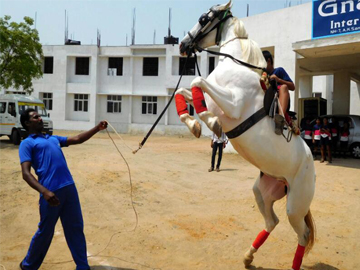 Archery and Horse Riding