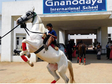 Archery and Horse Riding
