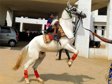Archery and Horse Riding