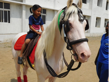Archery and Horse Riding